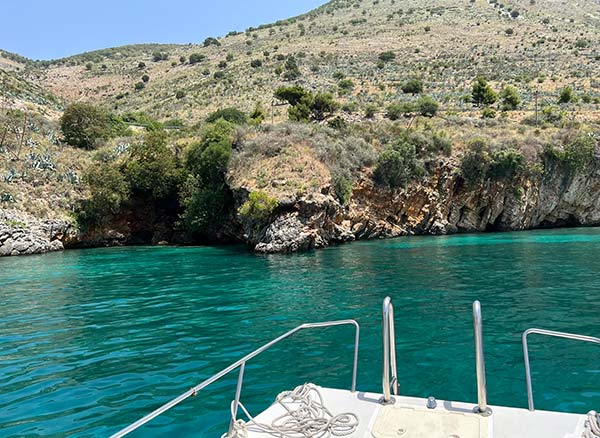boat trips
